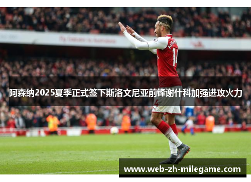 阿森纳2025夏季正式签下斯洛文尼亚前锋谢什科加强进攻火力