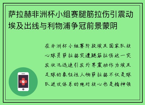 萨拉赫非洲杯小组赛腿筋拉伤引震动埃及出线与利物浦争冠前景蒙阴 萨拉赫非洲杯小组赛腿筋拉伤引震动埃及出线与利物浦争冠前景蒙阴
